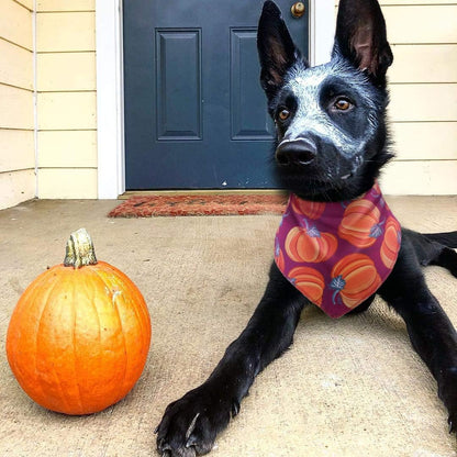 4 Pack Thanksgiving Dog Bandana,Pumpkin Turkry Bandanas for Dogs,Triangle Bibs Pet Scarf