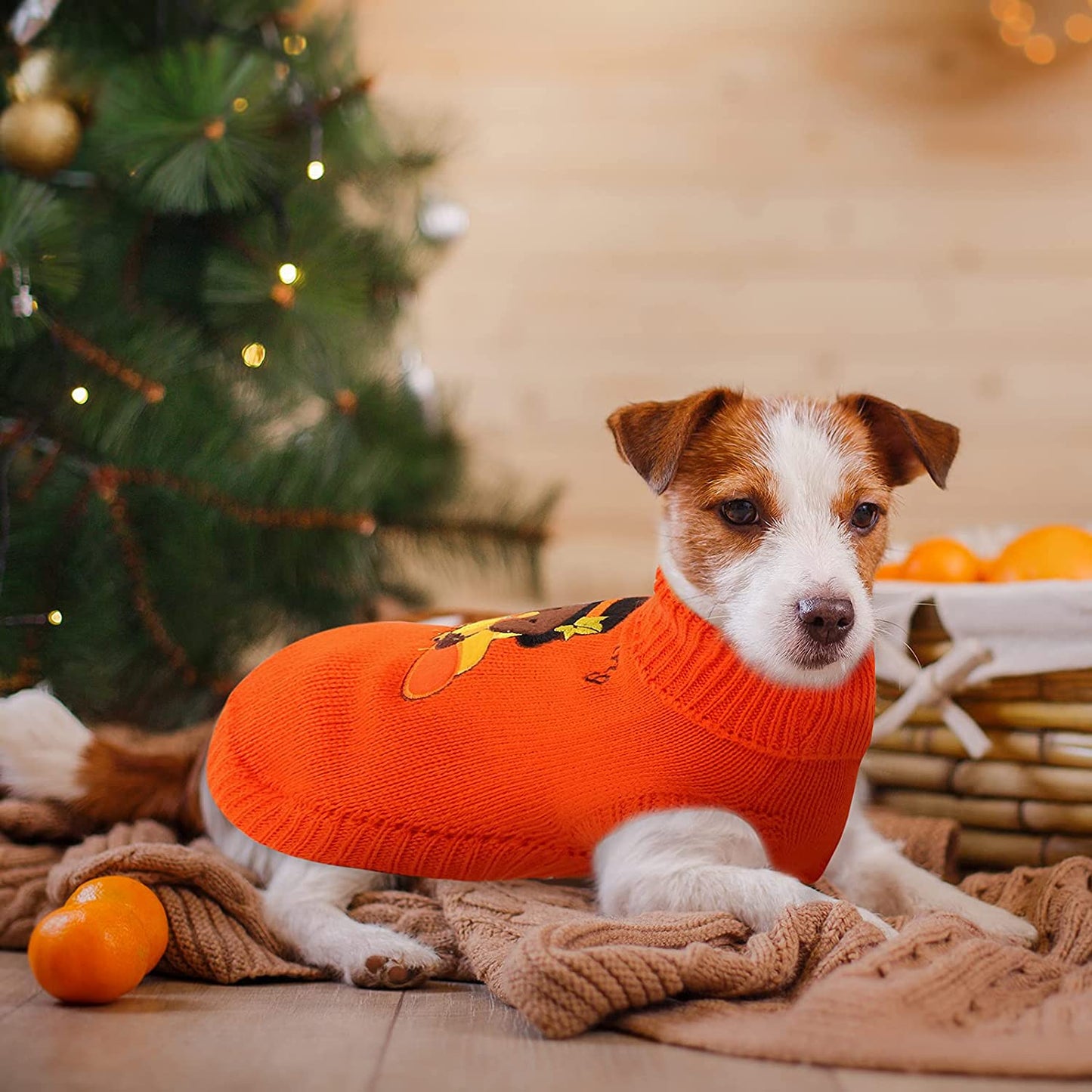 2 Pack Thanksgiving Dog Sweaters Turkey Puppy Dog Clothes Pet Warm Knitwear for Thanksgiving, Holiday, Party Gift, Orange, Brown