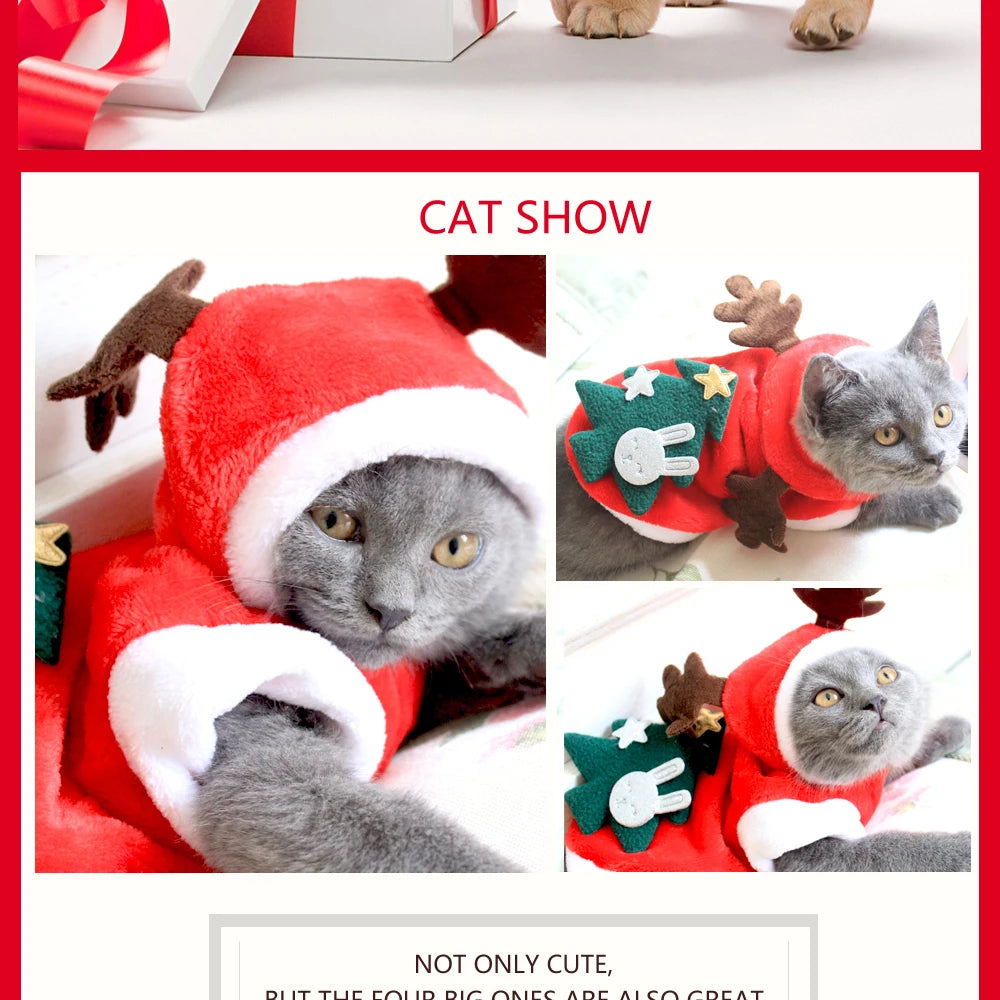 Christmas Pet Costume