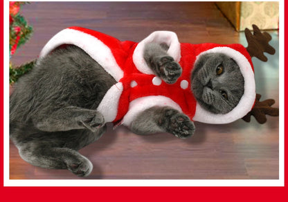 Christmas Pet Costume