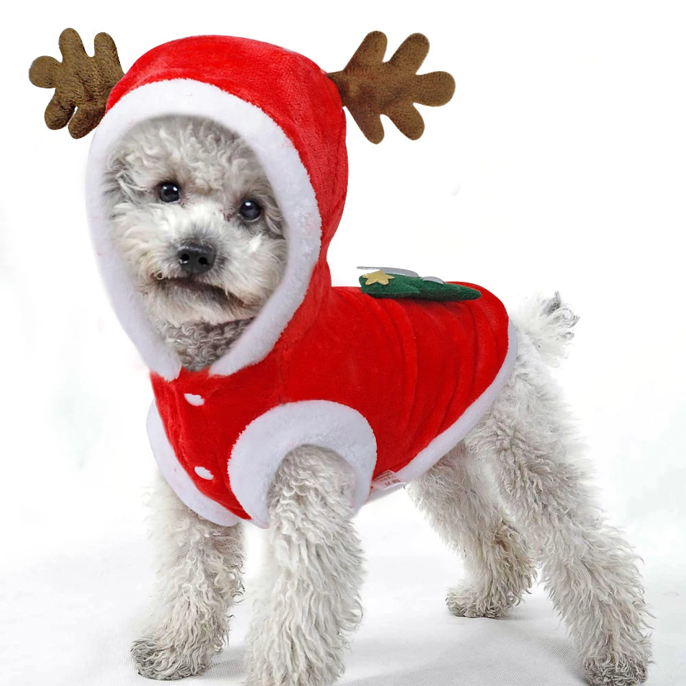 Christmas Pet Costume