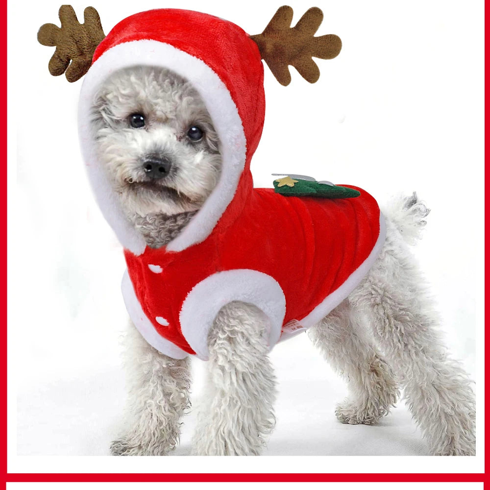 Christmas Pet Costume