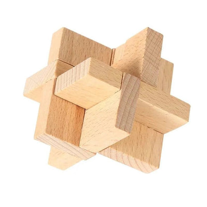 Interlocking Wood Brain Teaser Puzzles