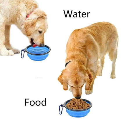 Collapsible Dog Bowl 