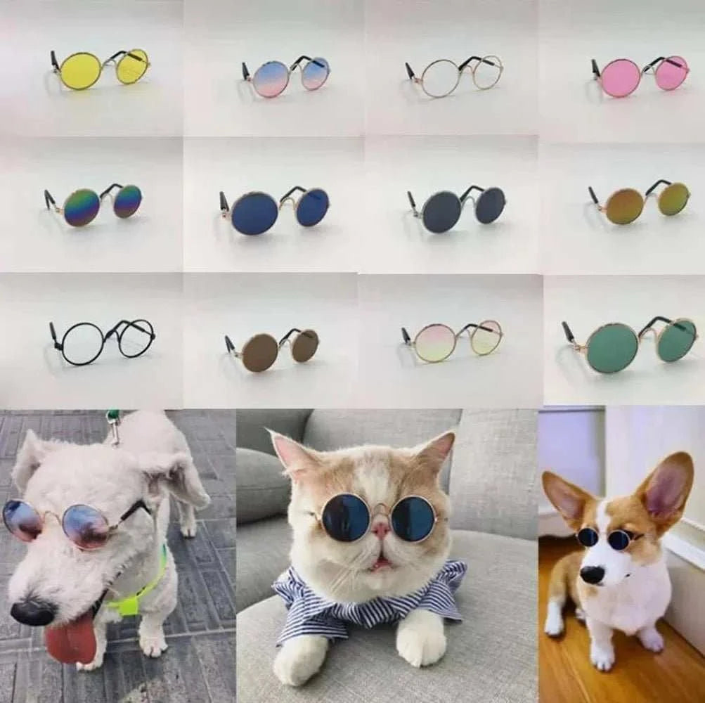 pet sunglasses