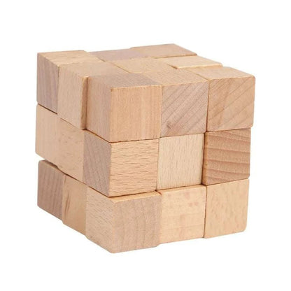 Interlocking Wood Brain Teaser Puzzles