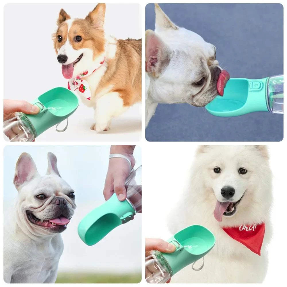 Dog Water Dispenser