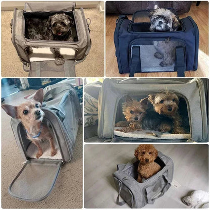 Dog Carrier