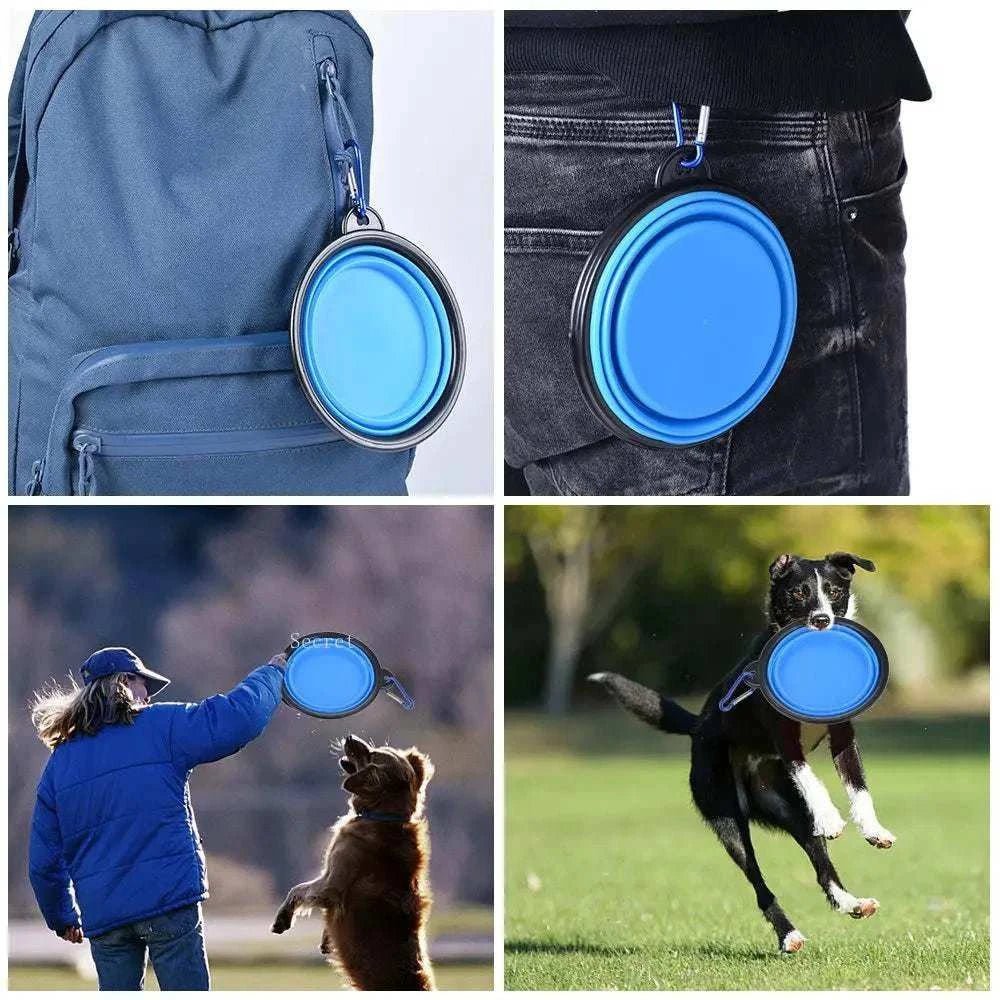 Collapsible Dog Bowl 