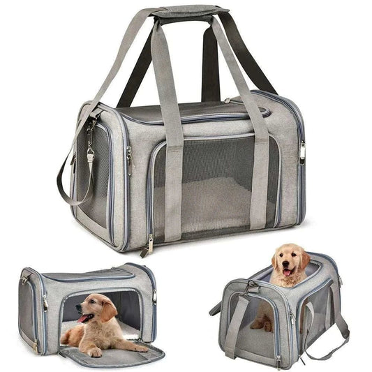 Dog Carrier