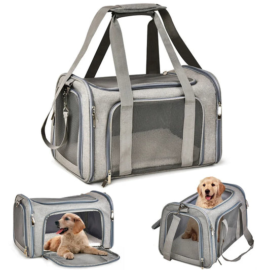 Pet Safety Carrier