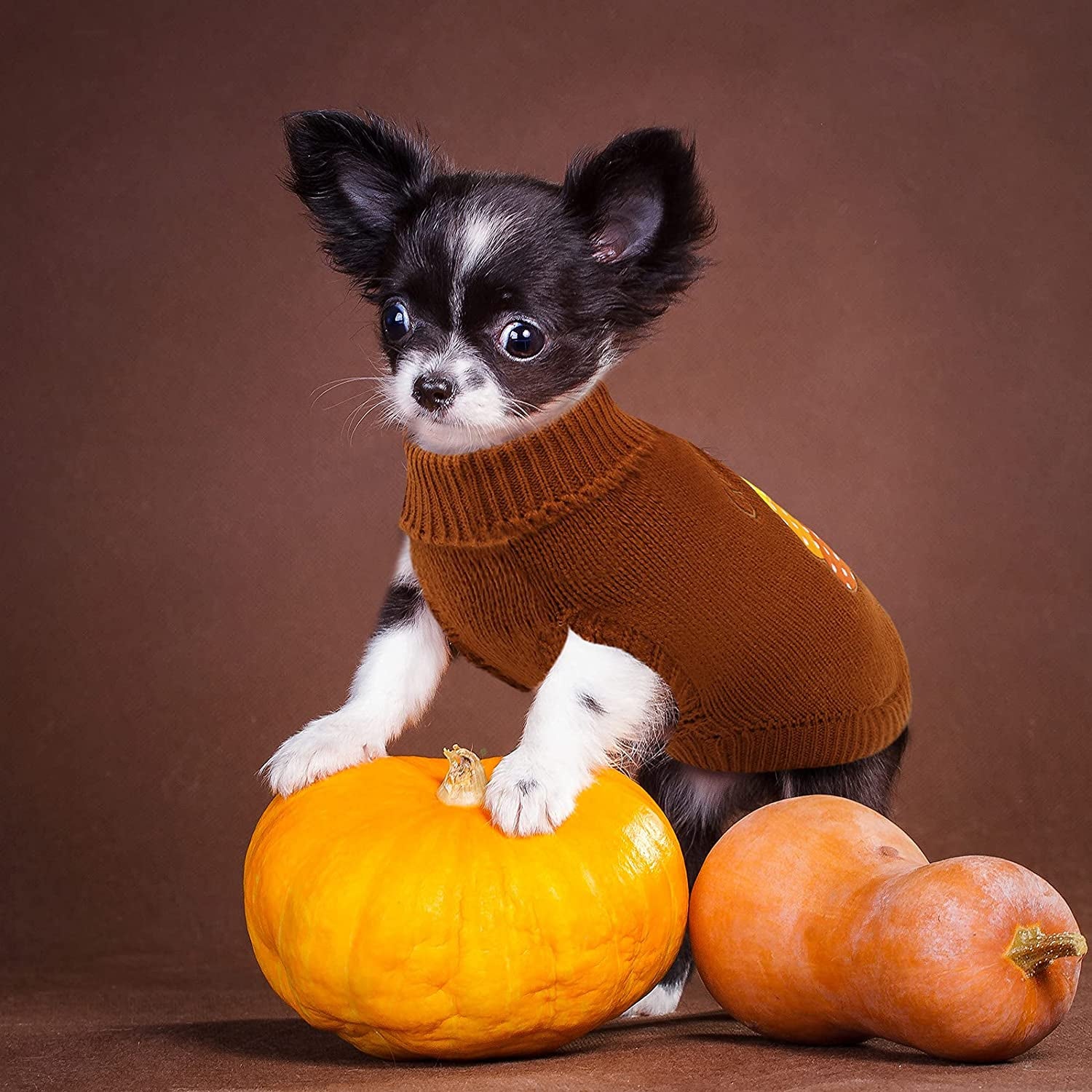 2 Pack Thanksgiving Dog Sweaters Turkey Puppy Dog Clothes Pet Warm Knitwear for Thanksgiving, Holiday, Party Gift, Orange, Brown